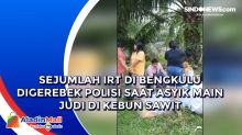 Sejumlah IRT di Bengkulu Digerebek Polisi saat Asyik Main Judi di Kebun Sawit