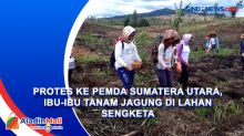 Protes ke Pemda Sumatera Utara, Ibu-ibu Tanam Jagung di Lahan Sengketa