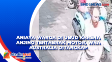 Aniaya Warga di Ubud karena Anjing Tertabrak Motor, WNA Australia Ditangkap