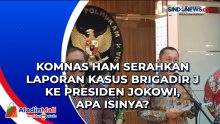 Komnas HAM Serahkan Laporan Kasus Brigadir J ke Presiden Jokowi, Apa Isinya?