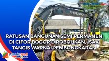 Ratusan Bangunan Semi Permanen di Cifor Bogor Dirobohkan, Isak Tangis Warnai Pembongkaran