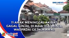 11 Anak Meninggal Akibat Gagal Ginjal di Bali, IDAI Minta Waspadai Gejala Awal