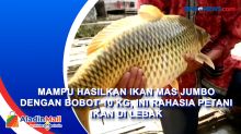 Mampu Hasilkan Ikan Mas Jumbo dengan Bobot 10 Kg, Ini Rahasia Petani Ikan di Lebak