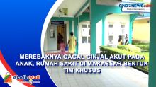 Merebaknya Gagal Ginjal Akut pada Anak, Rumah Sakit di Makassar Bentuk Tim Khusus