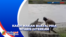 Beri Makan Buaya di Sungai Palu, Pria Nyaris Diterkam