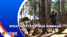 Wisata Hutan Pinus Mamasa, Trekking hingga Berkemah