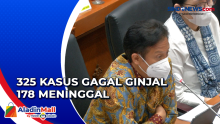 Kasus Gagal Ginjal di Indonesia 325 Kasus, 178 Meninggal Ini Wilayah Penyebarannya