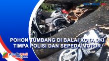 Pohon di Balai Kota DKI Tumbang, 5 Polisi Luka-Luka dan 55 Sepeda Motor Ringsek