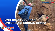 Pencarian Korban Gempa Cianjur, Polri Kerahkan Belasan Anjing Pelacak