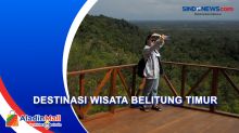 Melancong ke Belitung Timur, Mengunjungi Bukit Lumut hingga Menjumpai Tarsius