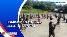 Sensasi Mengikuti Lomba Menangkap Belut di Tana Toraja