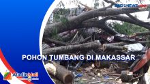 Pohon Tumbang di Makassar, Ibu dan Anak Tewas