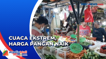 Cuaca Ekstrem, Harga Ikan dan Sayuran Melambung di Pasar Cawang Kavling