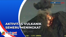 Gunung Semeru Erupsi, Muntahkan Lava Pijar Sejauh 1 Kilometer di Lumajang