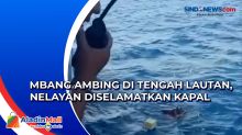 Nelayan Wakatobi Diselamatkan Kapal Feri Usai Terombang-Ambing di Tengah Lautan