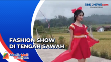 Melihat Fashion Show Kain Tenun di Tengah Sawah di Mamasa