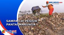 Tumpukan Sampah di Pesisir Pantai Marunda Dibersihkan Petugas