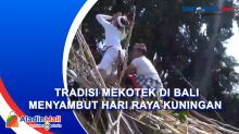 Tradisi Mekotek di Bali Menyambut Hari Raya Kuningan, Begini Kemeriahannya