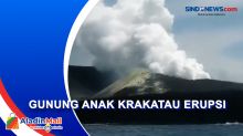 Semburkan Abu hingga 500 Meter, Gunung Anak Krakatau Erupsi 8 Kali
