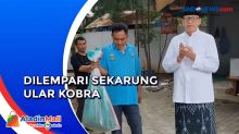Rumah Wahidin Halim Dilempari Sekarung Ular Kobra Jelang Kedatangan Anies Baswedan