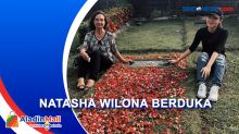 Natasha Wilona Bagikan Kabar Duka, sang Nenek Meninggal Dunia