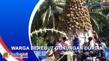 Melihat Tradisi Sedekah Bumidi Jember, Warga Berebut Gunungan Durian