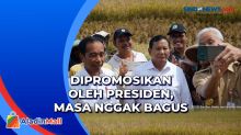 Momen Keakraban Jokowi dan Prabowo-Ganjar, Surya Paloh: Bagus Dipromosi oleh Presiden