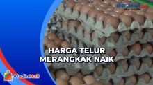 Sepekan Jelang Ramadan, Harga Telur Ayam di Purwakarta Melonjak hingga Rp31 Ribu