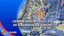 Gempa Dangkal Magnitudo 4,6 Guncang Halmahera Timur