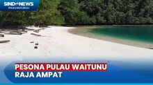 Mengunjungi Pulau Waitunu di Raja Ampat, Terpukau Hamparan Pantai Pasir Putih dan Birunya Laut