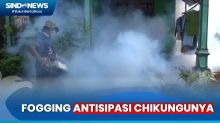 Merebak Kasus Chikungunya di Jombang, Petugas Fogging  Pemukiman Warga