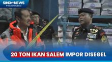 Menteri KP Segel 20 Ton Ikan Salem Impor Tak Sesuai Peruntukan di Batam