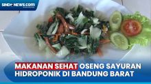 Nikmat dan Lezat Mencicipi Makanan Sehat Oseng Sayuran Hidroponik di Bandung Barat