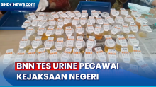 BNN Lakukan Tes Urine Terhadap Pegawai Kejaksaan Negeri Lubuklinggau Sumatera Selatan
