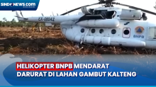 Kronologi Helikopter BNPB Mendarat Darurat di Lahan Gambut Kalteng