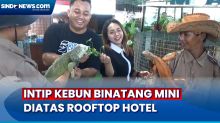 Unik ! Kebun Binatang Mini Ini Berada di Rooftop Hotel