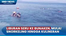 Liburan Seru ke  Bunaken, Wajib Coba Snorkeling Hingga Mencicipi Kuliner