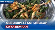 Mencicipi Ayam Tangkap Kuliner Khas Aceh Kaya Rempah