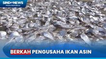 Musim Kemarau Jadi Berkah Bagi Pengusaha Ikan Asin di Kota Parepare