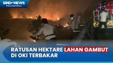 Karhutla Meluas, Ratusan Hektare Lahan Gambut di OKI Hangus Terbakar