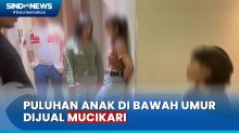 Jual Puluhan Anak, Polisi Tangkap Mucikari PSK Online di Jakarta