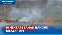 10 Hektare Lahan Hangus Setelah 2 Hari Terbakar di Jambi