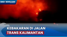 Kebakaran di Jalan Trans Kalimantan, Api Sulit Dipadamkan karena Lokasi Jauh dari Sumber Air