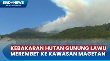 Gawat! Kebakaran Hutan Gunung Lawu Merembet ke Kawasan Magetan