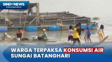 Kekeringan Ekstrem, Warga Muaro Jambi Konsumsi Air Sungai Batanghari