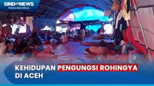 Melihat Kehidupan Pengungsi Rohingya di Pidie Aceh, Bertahan Hidup di Bawah Tenda Darurat