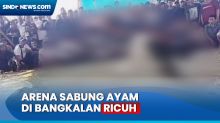 Detik-Detik Sabung Ayam di Bangkalan Ricuh, Polisi Bongkar dan Bakar Arena