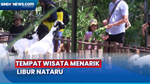 Isi Liburan Nataru 2023, Lokasi Wisata Mini Zoo Sleman Dipadati Wisatawan Berbagai Daerah