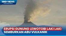 Gunung Lewotobi Laki Laki Erupsi, Semburkan Abu Vulkanik Setinggi 1000 Meter