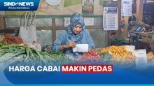 Jelang Ramadan Harga Cabai Merah di Yogyakarta Sentuh Rp100 Ribu